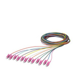 Phoenix Contact LC x 12 to Unterminated Single Mode Fibre Optic Cable, 9/125μm, 2.5m