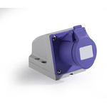 RS PRO IP44 Purple Wall Mount 2P Industrial Power Socket, Rated At 16A, 20 → 25 V