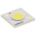 Cree CXA1304-0000-000C00C450H, XLamp CXA1304 White CoB LED, 5000K