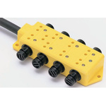 Brad from Molex Sensor Box