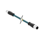 Molex Cable, M12, 4 port