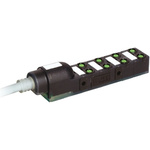 Murrelektronik Limited Exact 8 Series I/O module, M8, 5m cable