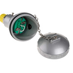 RS PRO Type K Thermocouple 150mm Length, 6mm Diameter → +1100°C