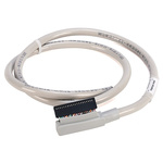 Rockwell Automation Connector Cable for Use with 1746 SLC 500, 1756 ControlLogix, 1769 CompactLogix, 1771 PLC-5