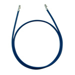 RS PRO Female DF11 to Female DF11 Crimped Wire, 300mm, 0.25mm², Blue