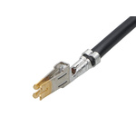 Molex Female Pre-Crimped Lead, 225mm, 8AWG