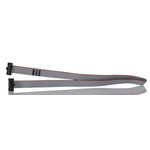 Samtec FFSD Series Flat Ribbon Cable, 10-Way, 1.27mm Pitch, 250mm Length, Tiger Eye IDC to Tiger Eye IDC