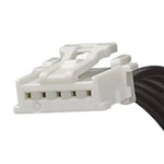 Molex 5 Way Female MicroClasp to 5 Way Female MicroClasp Wire to Board Cable, 50mm