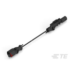 TE Connectivity 1 Way Male to 2 Way Male F Type Cable assembly, 3m