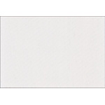 Brady White Adhesive Multipurpose Label Sheet, Pack of 360