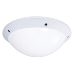 Thorlux Lighting Dome LED Bulkhead Light, 31 W, , Lamp Supplied, IP66