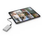 Seagate PORTABLE SSD V2 External Installation 1 TB External SSD