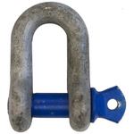 RS PRO D-Shackle, Alloy Steel, 3.25t