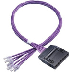 Polyco Healthline Cat6 RJ45 6 Port Cassette to Plug Cable Assembly, UTP Shielding