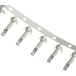 Delphi, Metri-Pack 150 Female