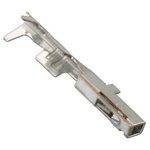 Molex, Mini50, 560023