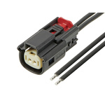 Molex Automotive Connector