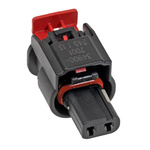 Molex, MXP120 Automotive Connector Socket 2 Way, Crimp Termination