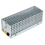 Enclosure Heater, 100W, 110V ac, 70mm x 191mm x 67mm