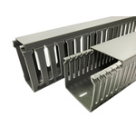 RS PRO Grey Slotted Panel Trunking - Open Slot, W25 mm x D50mm, L1m, PVC