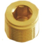 Kopex Stopping Plug, Conduit Fitting, 1/2in, Brass