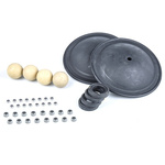Tecnomatic Process Pump Spares Kit for use with T240-AG-D Pump