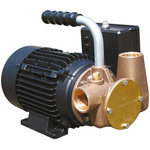 Xylem Jabsco, 110 V Water Pump, 80L/min