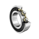 FAG 61819-2RSR-Y Single Row Deep Groove Ball Bearing- Both Sides Sealed 95mm I.D, 120mm O.D