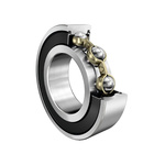 FAG 61810-2RSR-Y Single Row Deep Groove Ball Bearing- Both Sides Sealed 50mm I.D, 65mm O.D