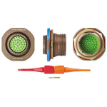Souriau, 8D 32 Way Panel Mount MIL Spec Circular Connector Receptacle, Pin Contacts,Shell Size 19, Screw Coupling,