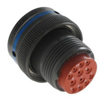 Amphenol India 33 Way MIL Spec Circular Connector Receptacle, Socket Contacts
