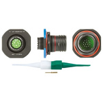 Souriau, 8D 13 Way Panel Mount MIL Spec Circular Connector Receptacle, Pin Contacts,Shell Size 11, Screw Coupling,