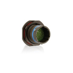 Souriau, 8LT 3 Way Jam Nut Connector Receptacle, Pin Contacts,Shell Size 9, MIL-DTL-38999