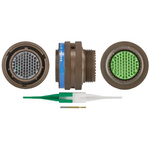 Souriau, 8LT 66 Way Cable Mount MIL Spec Circular Connector Plug, Socket Contacts,Shell Size 19, Bayonet Coupling,