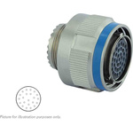 Souriau, 8D 22 Way Cable Mount MIL Spec Circular Connector Plug, Socket Contacts,Shell Size 13, Screw Coupling,