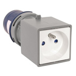 RS PRO IP20 Blue 2P + E Industrial Power Connector Adapter Socket, Rated At 16A, 230 V