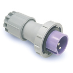 RS PRO IP67 Purple Cable Mount 2P Industrial Power Plug, Rated At 16A, 20 → 25 V