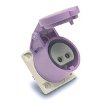 RS PRO IP44 Purple Panel Mount 2P Industrial Power Socket, Rated At 16A, 20 → 25 V