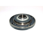 25mm four-bolt flanged housing units