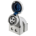 MENNEKES IP67 Blue Wall Mount 3P 25 ° Industrial Power Socket, Rated At 32A, 230 V
