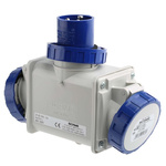 Scame IP66 Blue 1 x 2P + E, 2 x 2P + E Industrial Power Connector Adapter Plug, Socket, Rated At 16A, 240 V