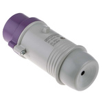 Scame IP44 Purple Cable Mount 2P Industrial Power Plug, Rated At 16A, 20 → 25 V