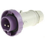 Scame IP67 Purple Cable Mount 2P Industrial Power Plug, Rated At 16A, 20 → 25 V