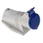 Scame IP44 Blue Wall Mount 2P + E Right Angle Industrial Power Socket, Rated At 16A, 230 V