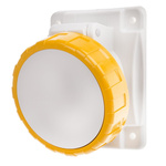 Scame IP66, IP67 Yellow Panel Mount 2P + E Heavy Duty Power Connector Socket, Rated At 16A, 110 V