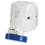 Scame IP67 Blue Wall Mount 2P + E Industrial Power Socket, Rated At 125A, 230 V