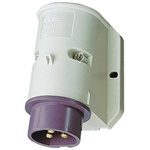 MENNEKES IP44 Purple Wall Mount 3P Right Angle Industrial Power Socket, Rated At 16A, 20 → 25 V