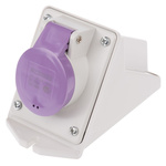 Scame IP44 Purple Wall Mount 2P Right Angle Industrial Power Socket, Rated At 16A, 20 → 25 V
