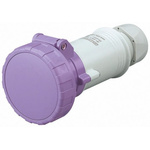 Scame IP66, IP67 Purple Cable Mount 2P Industrial Power Socket, Rated At 16A, 20 → 25 V