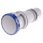 Scame IP66, IP67 Blue Cable Mount 2P + E Industrial Power Socket, Rated At 125A, 230 V